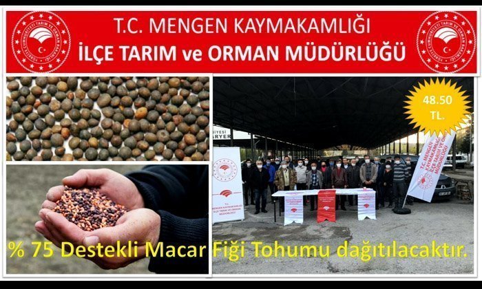 Mengen’de Çiftçilere İndirimli Yem Bezelyesi ve Macar Fiği Tohumu Dağıtılacak