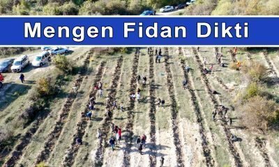 Mengen, Geleceği İçin Fidan Dikti