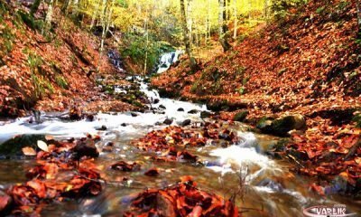 Foto Varlık’tan Yedigöller Fotoğrafları