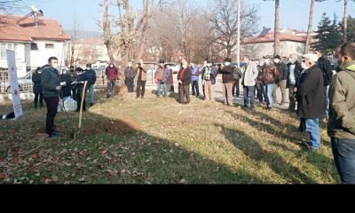 İlçemizde Tarıma İlgi Artarak Devam Ediyor