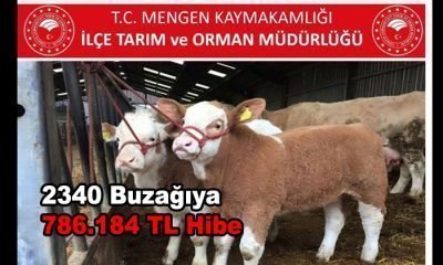 Hibe Ödemeleri Tamamlandı