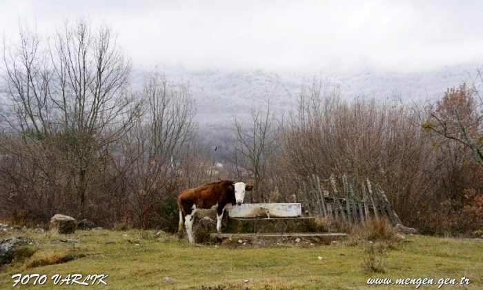 Günün Fotoğrafı – 23.12.2020
