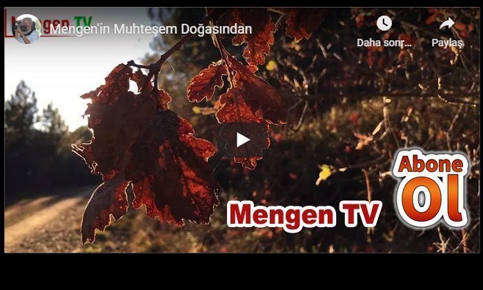 Mengen’in Muhteşem Doğasından Huzur Verici Bir Video – Mengen TV