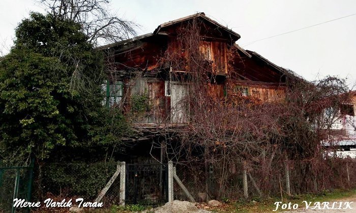Günün Fotoğrafı