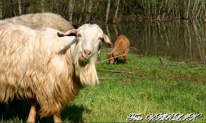 Günün Fotoğrafı