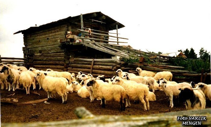 Günün Fotoğrafı