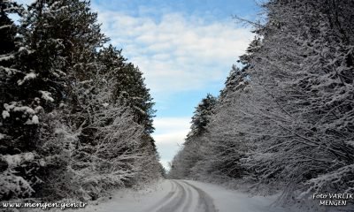 Günün Fotoğrafı – 31.01.2021
