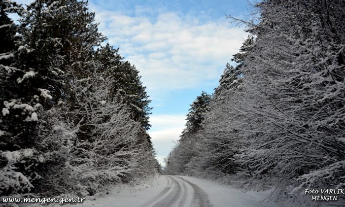 Günün Fotoğrafı – 31.01.2021