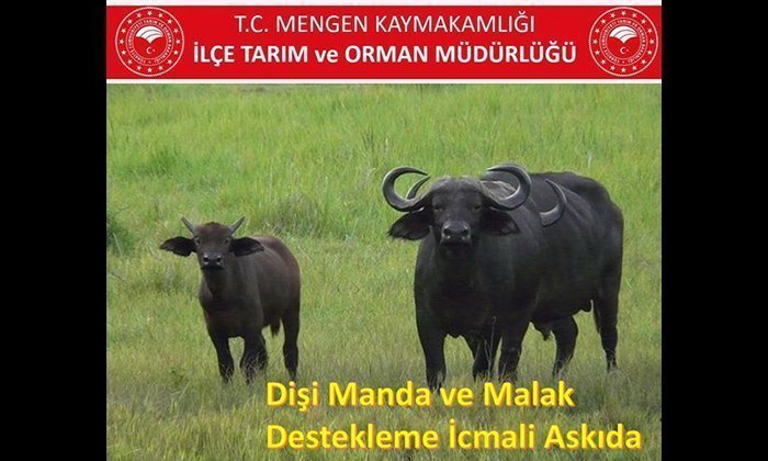 2020 Yılı Malak Desteklemesi Askıya Çıktı