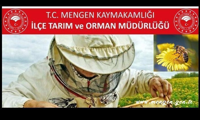 Arılı Kovan Destekleme Şartları Değişti