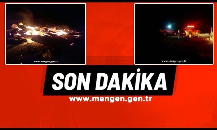 Son Dakika; Karaşeyhler Yaylasında Gelik Yangını