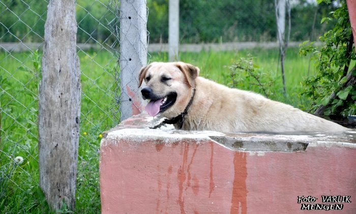 Günün Fotoğrafı