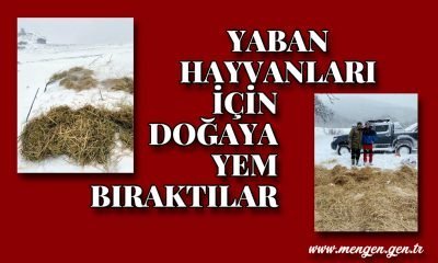 Mengen’de Yaban Hayvanları İçin Doğaya Yem Bırakıldı