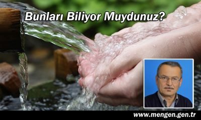 “Sıtma Pınarı” Adı Nereden Geliyor?