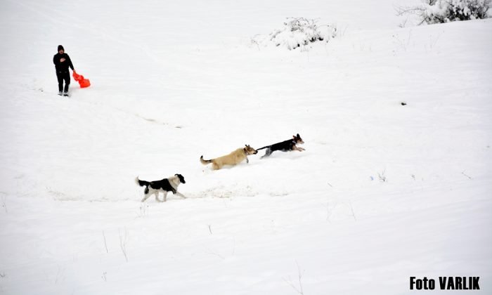 Günün Fotoğrafı – 16.03.2021