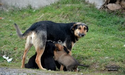Günün Fotoğrafı