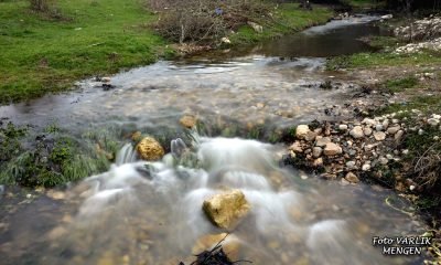 Günün Fotoğrafı – 11.04.2021