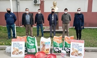 Mengen’de Sokak Hayvanları İçin Destek Çağrısı