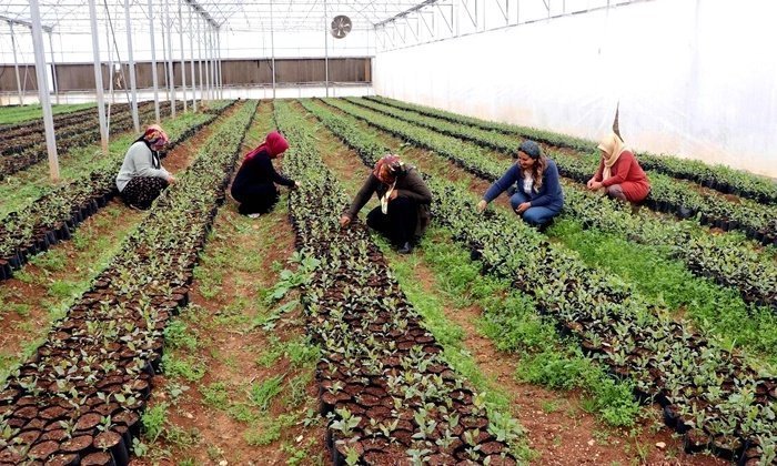 İlk defa kendi paralarını kazandılar… 7 kadın beraber kurdu! Almanya’ya ihraç ediyorlar