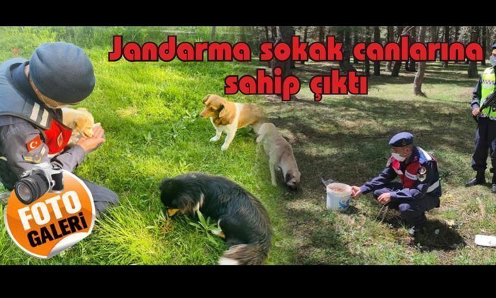 Jandarma’dan ince davranış