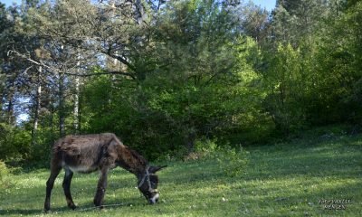 Günün Fotoğrafı – 16.05.2021