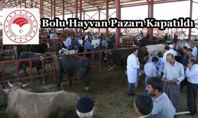 Hayvan Pazarları Kısa Süreli Kapatıldı