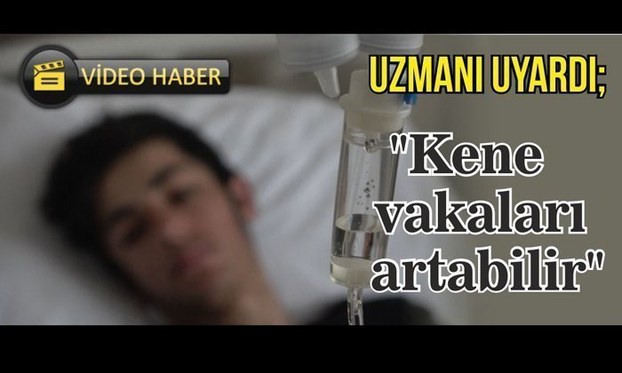 Dikkat; “Kene vakaları artabilir”