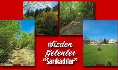 Sizden Gelenler – Sarıkadılar Köyü – Songül AYDOĞAN