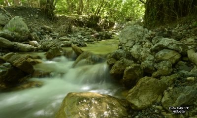 Günün Fotoğrafı