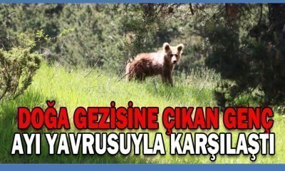 DOĞA GEZİSİNE ÇIKAN GENÇ, AYI YAVRUSUYLA KARŞILAŞTI