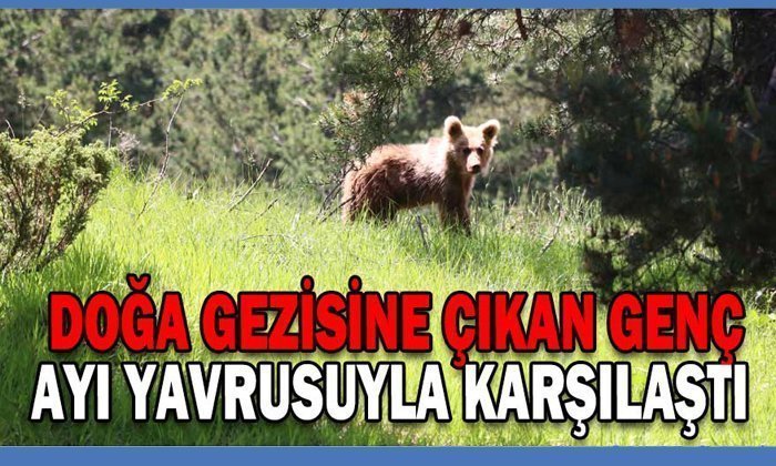 DOĞA GEZİSİNE ÇIKAN GENÇ, AYI YAVRUSUYLA KARŞILAŞTI