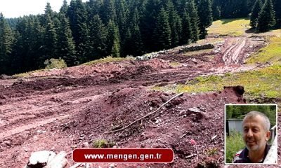 Sahi… N’oldu şu Domuzalanı? – Misafir Yazar Recai Saygı