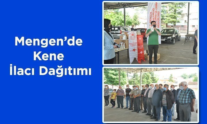 Mengen’de Kene İle Mücadele