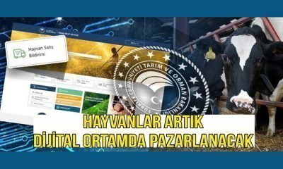 İl İçi Hayvan Satışları Artık Dijital Ortamda Yapılabilecek