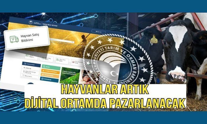 İl İçi Hayvan Satışları Artık Dijital Ortamda Yapılabilecek
