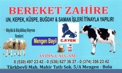 Bereket Zahire