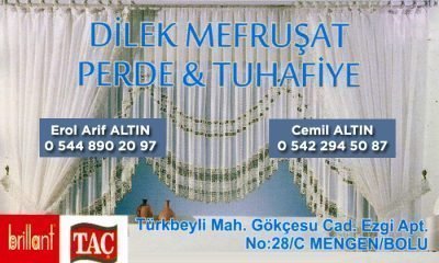 Dilek Mefruşat