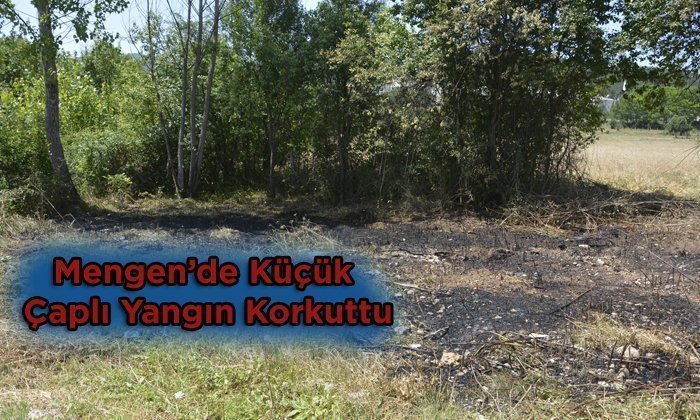 Mengen’de Ot Yangını Büyümeden Söndürüldü