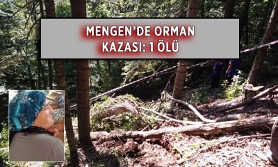 Mengen’de Orman Kazası: 1 Ölü