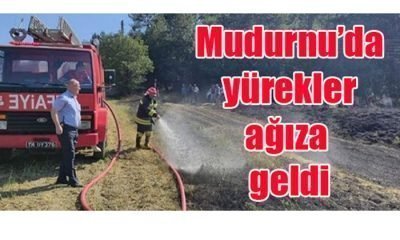 Mudurnu’da Korkutan Yangın