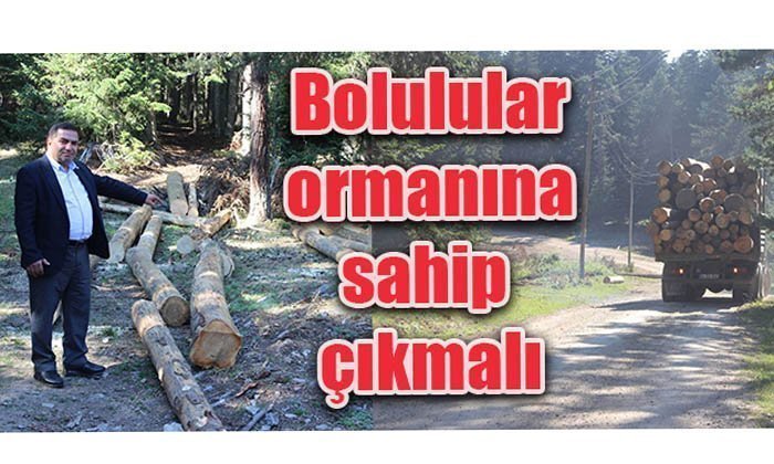 Bolulular Ormanına Sahip Çıkmalı