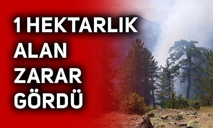 1 Hektarlık Alan Zarar Gördü