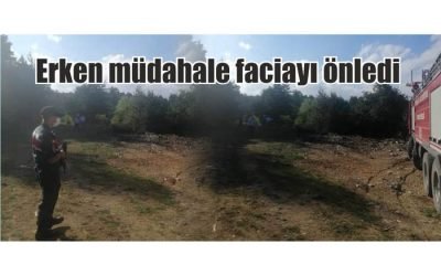 Alevlere Erken Müdahale Facianın Önüne Geçti
