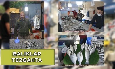 Balıklar tezgâhlarda yerini aldı – Ne zaman hangi balığı yemeli?