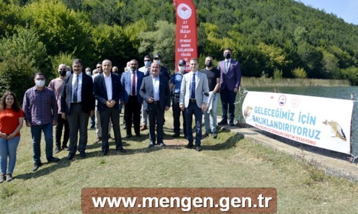 110.000 Balık, Mengen’deki Göllere Bırakıldı