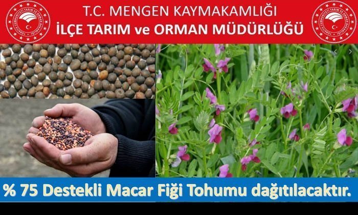 %75 Hibeli Macar Fiği Tohumu Dağıtılacak