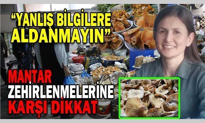 Vatandaşlar Mantar Zehirlenmesine Karşı Uyarıldı