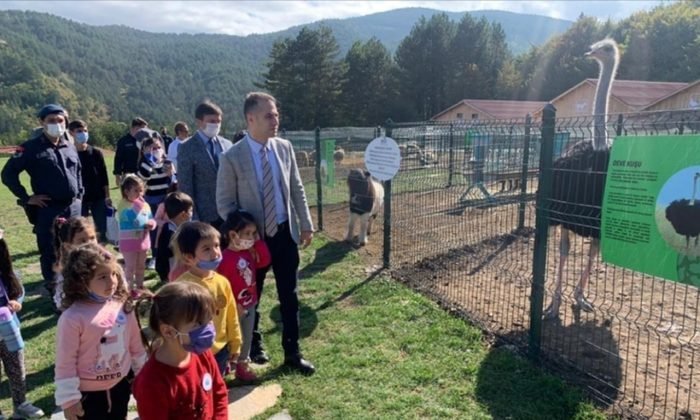 Mengen’de Öğrencilere “Hayvan Sevgisi” Etkinliği