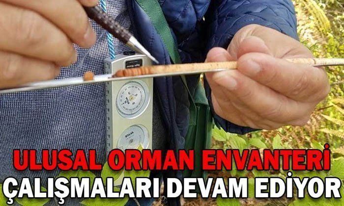 Ulusal Orman Envanter Çalışmaları Mengen’de Devam Ediyor