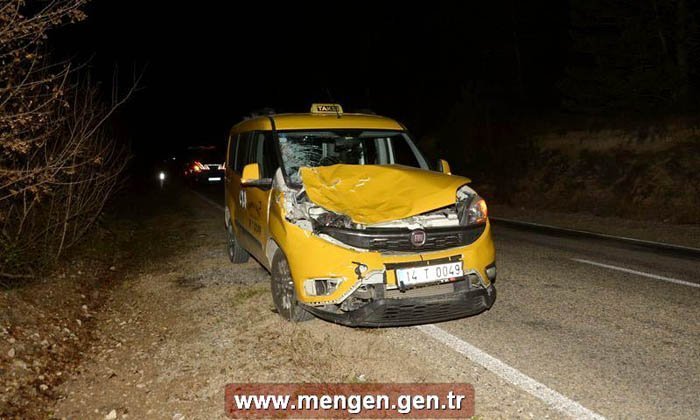 Mengen’de ticari aracın çarptığı inek telef oldu